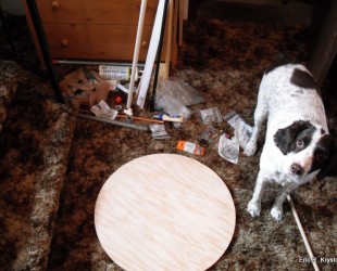 Jax helps out with our test stand construction.